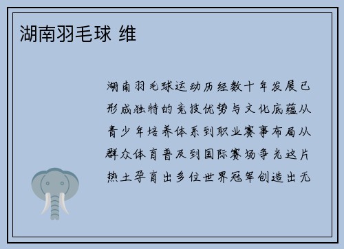 湖南羽毛球 维