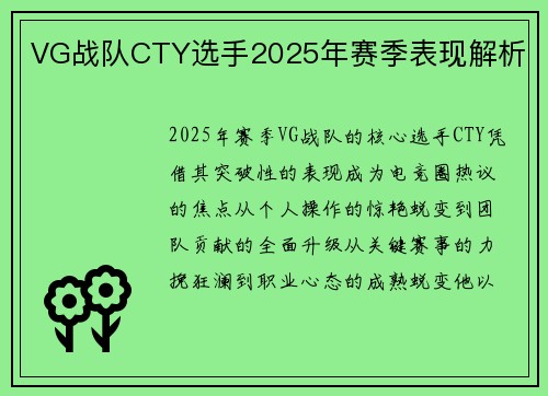 VG战队CTY选手2025年赛季表现解析